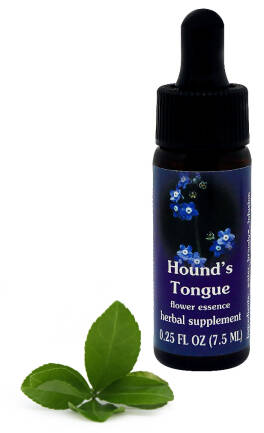 FES Hound’s Tongue 7,5 ml krople