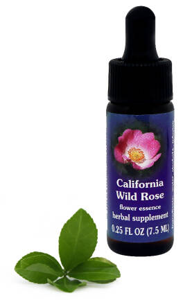FES California Wild Rose 7,5 ml krople