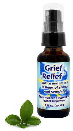 FES Grief Relief Ukojenie i wgląd w czasie smutku i poszukiwań 30 ml spray