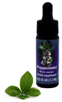 FES Peppermint 7,5 ml krople