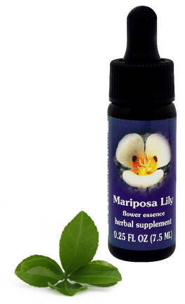 FES Mariposa Lily 7,5 ml krople