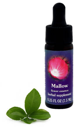 FES Mallow 7,5 ml krople