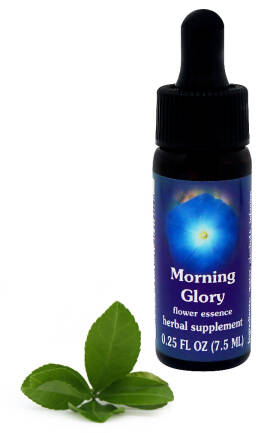 FES Morning Glory 7,5 ml krople