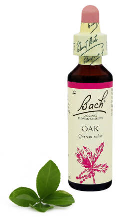 22. OAK / Dąb szypułkowy 20 ml Nelson Bach Original Flower Remedies