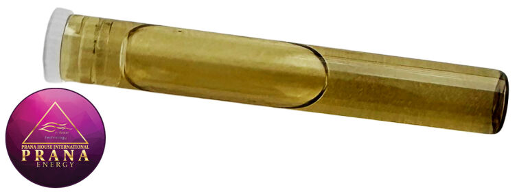 GANS K25 - CZARNA RZEPA