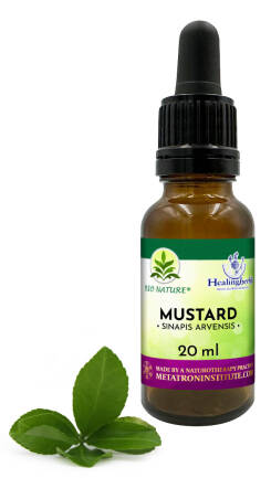 21. MUSTARD / Gorczyca polna - Kompozycja HealingHerbs 20ml