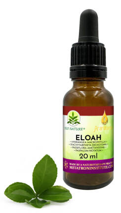 09. Eloah - Kompozycja Ararêtama 20ml