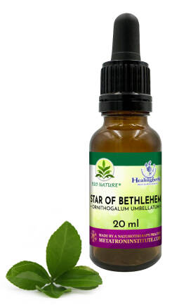 29. STAR OF BETHLEHEM / Gwiazda Betlejemska / Śniedek baldaszkowaty - Kompozycja HealingHerbs 20ml