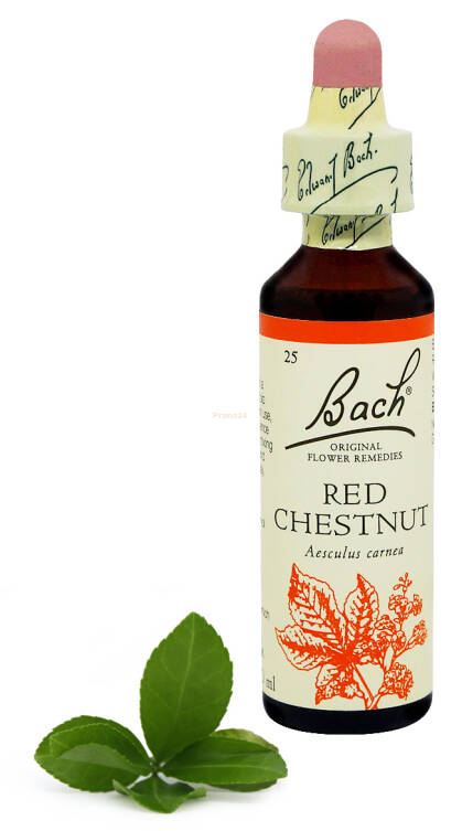 25. RED CHESTNUT / Kasztanowiec czerwony 20 ml Nelson Bach Original Flower Remedies