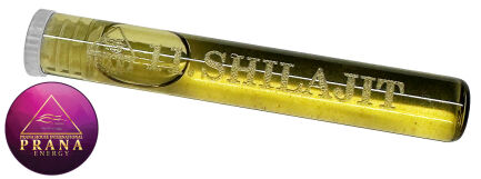 GANS SHILAJIT