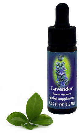 FES Lavender 7,5 ml krople