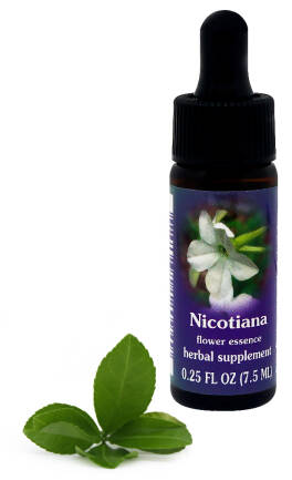 FES Nicotiana 7,5 ml krople