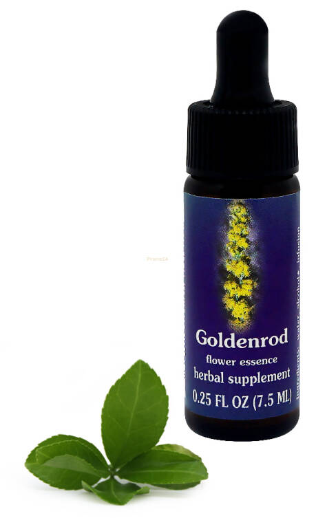 FES Goldenrod 7,5 ml krople