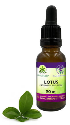 049. Lotus - Kompozycja FES 20ml