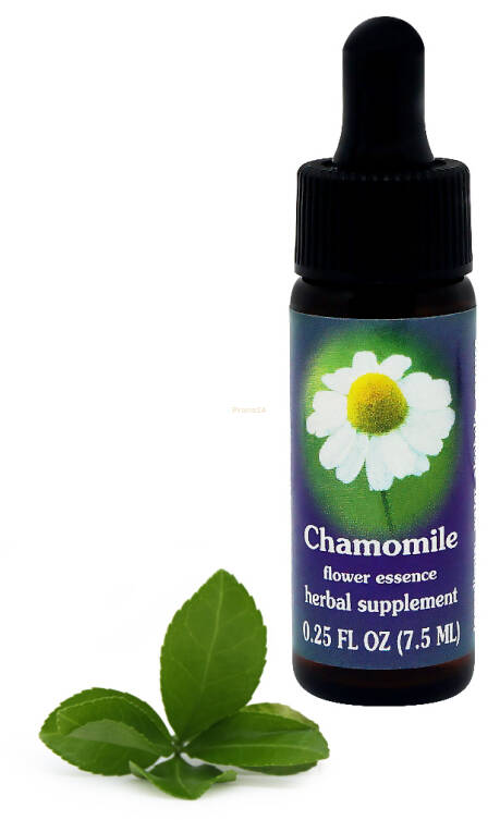 FES Chamomile 7,5 ml krople