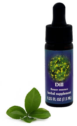 FES Dill 7,5 ml krople