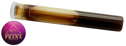 GANS K23 - LIPA