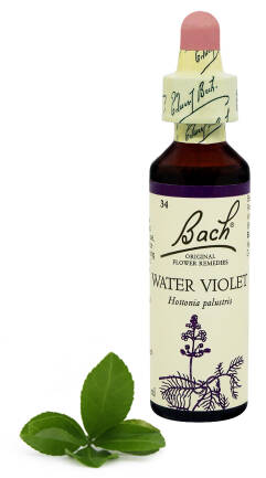 34. WATER VIOLET / Okrężnica bagienna/ Fiołek 20 ml Nelson Bach Original Flower Remedies