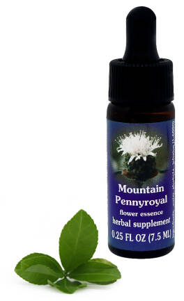 FES Mountain Pennyroyal 7,5 ml krople