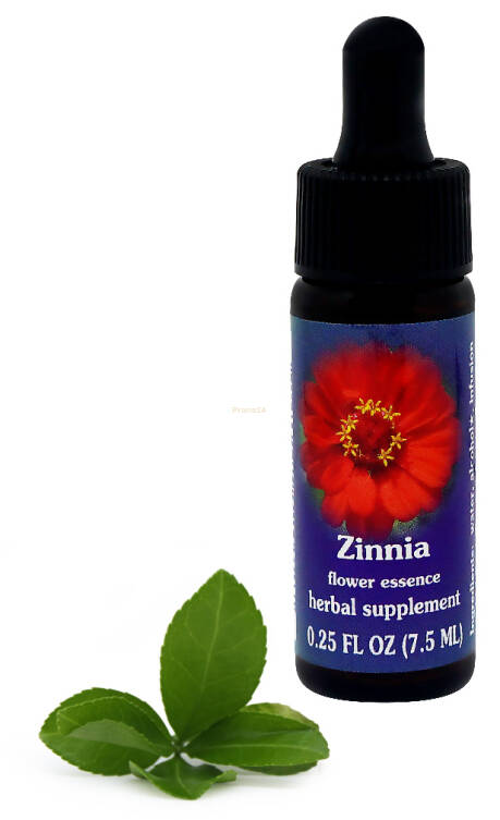 FES Zinnia 7,5 ml krople