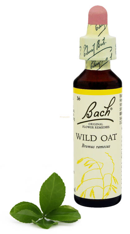 36. WILD OAT / Stokłosa gałęzista / Dziki owies 20 ml Nelson Bach Original Flower Remedies