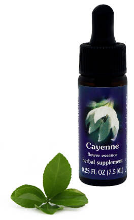 FES Cayenne 7,5 ml krople