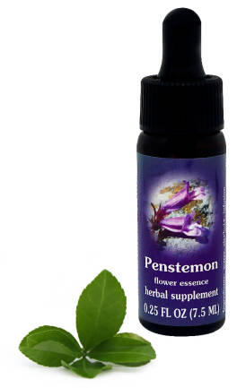 FES Penstemon 7,5 ml krople