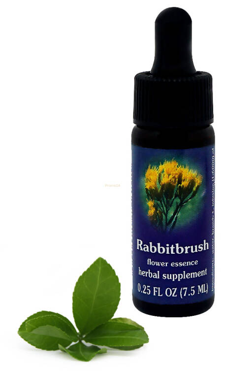 FES Rabbitbrush 7,5 ml krople