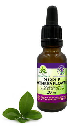 071. Purple Monkeyflower - Kompozycja FES 20ml