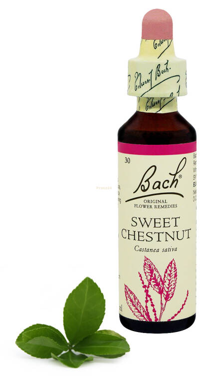 30. SWEET CHESTNUT / Kasztan jadalny 20 ml Nelson Bach Original Flower Remedies