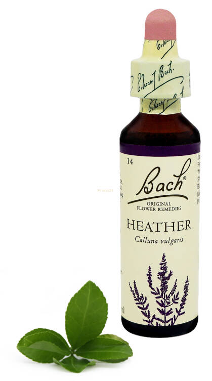 14. HEATHER / Wrzos pospolity 20 ml Nelson Bach Original Flower Remedies