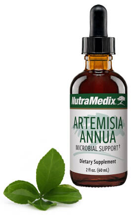 Artemisia Annua NutraMedix 60ml