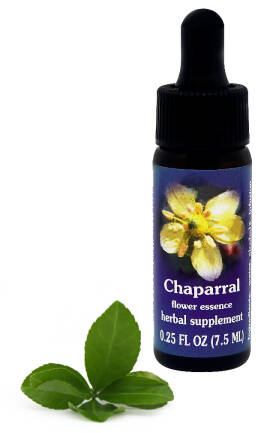 FES Chaparral 7,5 ml krople