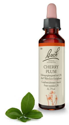 6. CHERRY PLUM / Śliwa wiśniowa 20 ml Nelson Bach Original Flower Remedies