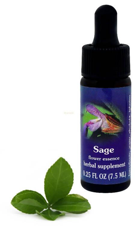 FES Sage 7,5 ml krople