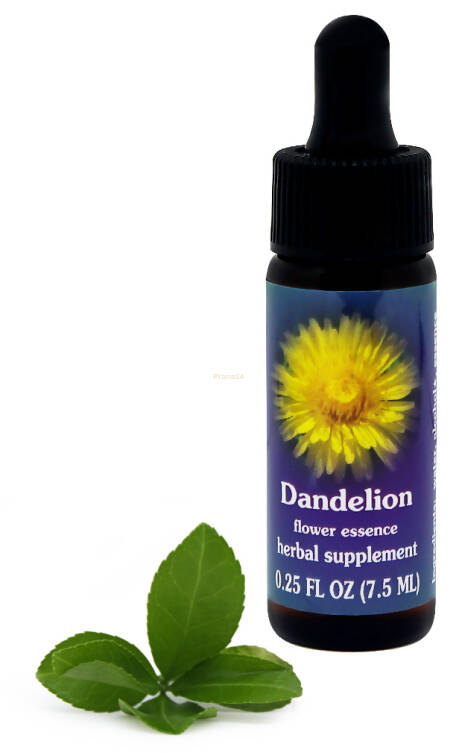 FES Dandelion 7,5 ml krople