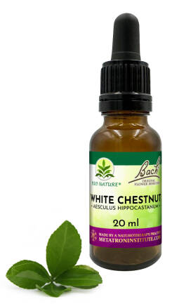 35. WHITE CHESTNUT / Kasztanowiec zwyczajny - Kompozycja Bach Original Flower Remedies Nelson 20ml