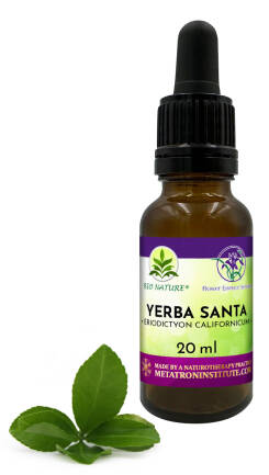 102. Yerba Santa - Kompozycja FES 20ml