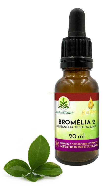 04. Bromélia 2 - Kompozycja Ararêtama 20ml