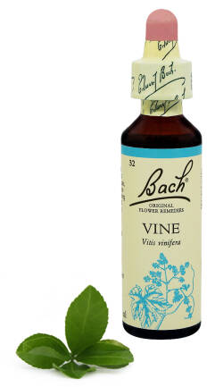 32. VINE / Winorośl właściwa 20 ml Nelson Bach Original Flower Remedies