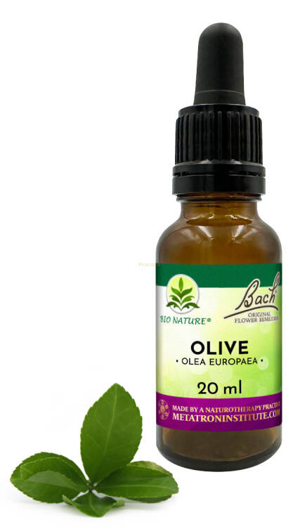 23. OLIVE / Oliwka - Kompozycja Bach Original Flower Remedies Nelson 20ml