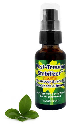 FES Post-Trauma Stabilizer Powrót do zdrowia i odbudowa po szoku i traumie 30 ml spray