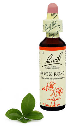 26. ROCK ROSE / Posłonek kutnerowaty 20 ml Nelson Bach Original Flower Remedies