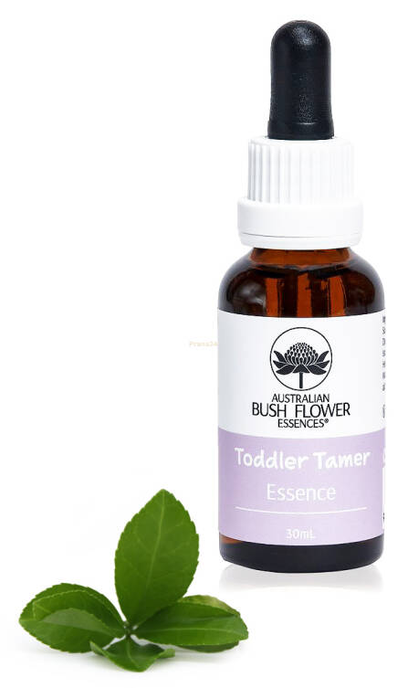 Toddler Tamer - spray/krople 30 ml - Australian Bush Flower Essences -30%