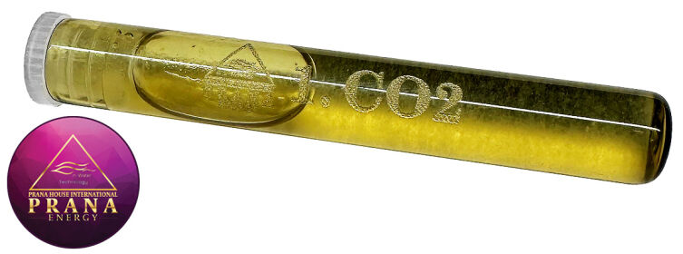 GANS BG 1 - CO2
