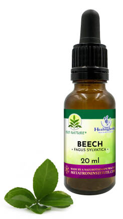 03. BEECH / Buk pospolity / czerwony - Kompozycja HealingHerbs 20ml