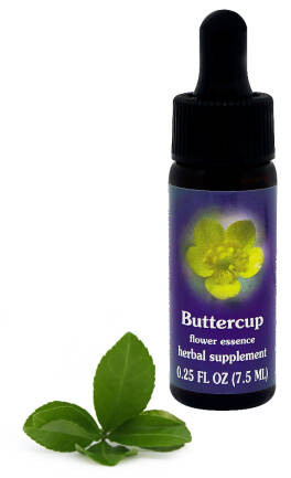 FES Buttercup 7,5 ml krople