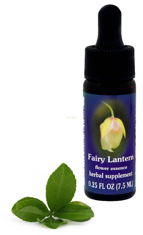 FES Fairy Lantern 7,5 ml krople