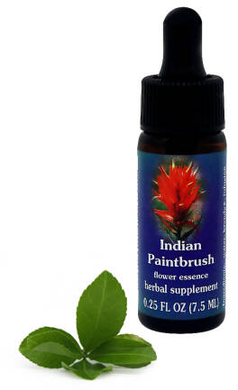 FES Indian Paintbrush 7,5 ml krople