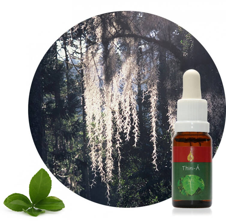 Thini-Á 15 ml Ararêtama Rainforest Essences ARF01032